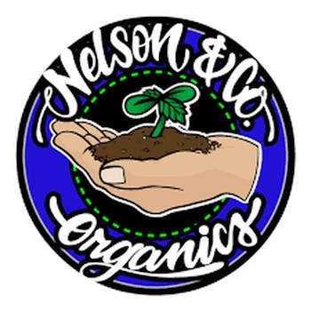 (I) Gelato #33 | Nelson & Co.